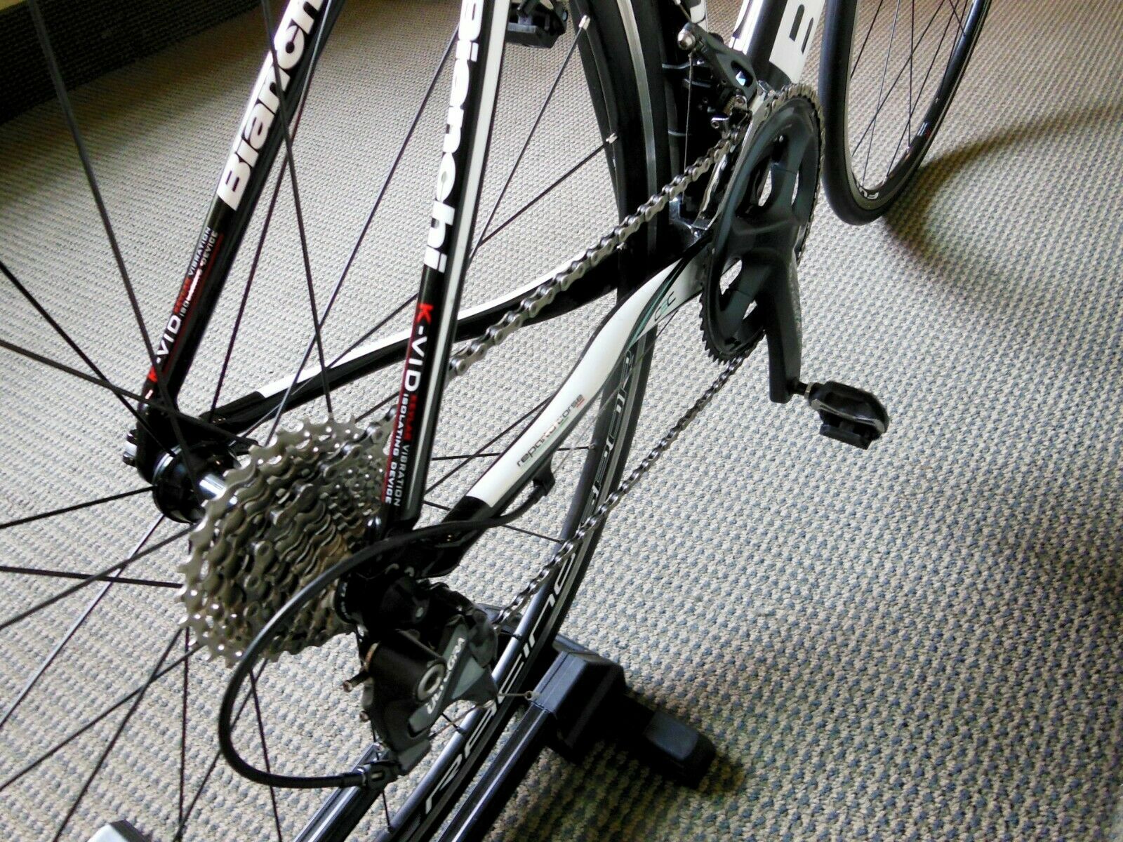 BIANCHI INTENSO BIKE CARBON FIBER MEDIUM FOR RIDERS UP TO 5' 8 FEET HIGH - Fresh Stock Dated December 2025