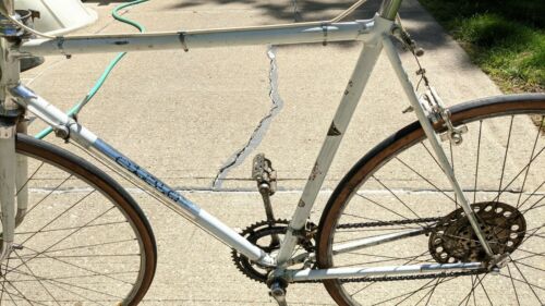 Rare Vintage 60's 70's Atala Road Bike Campagnolo Grand Prix 58cm made in Italy - Fresh Stock Dated December 2025