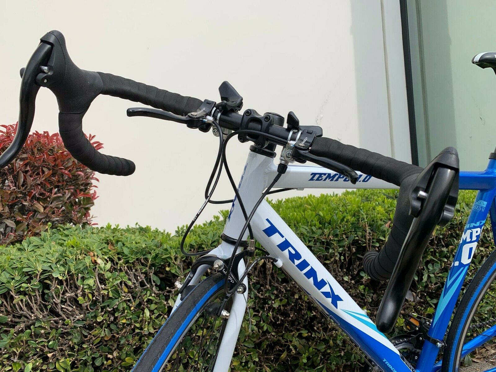 Trinx TEMPO1.0 700C Road Bike Shimano 21 Speed Racing Bicycle 53/56cm Frame NEW - Fresh Stock Dated January 2026