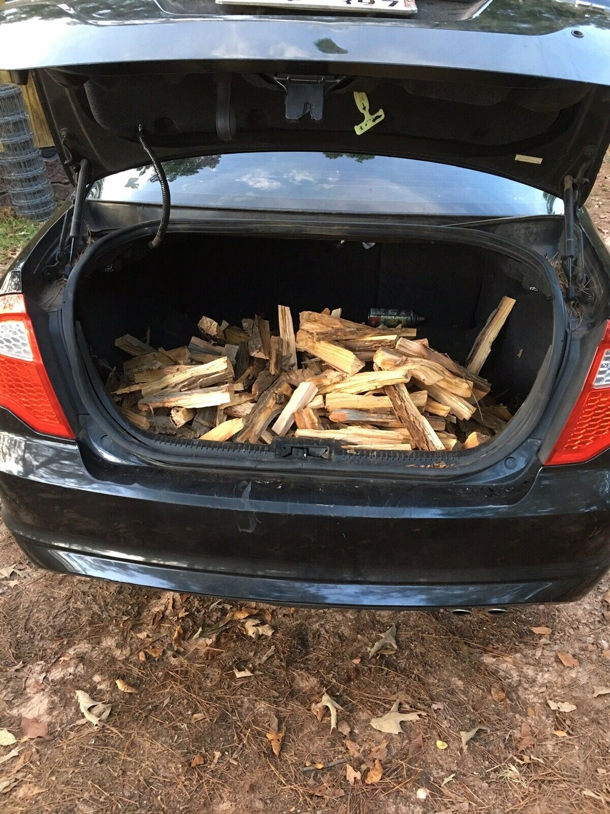 Louisiana Lighter Heart Pine Resin Kindling - Fresh Stock Dated January 2026