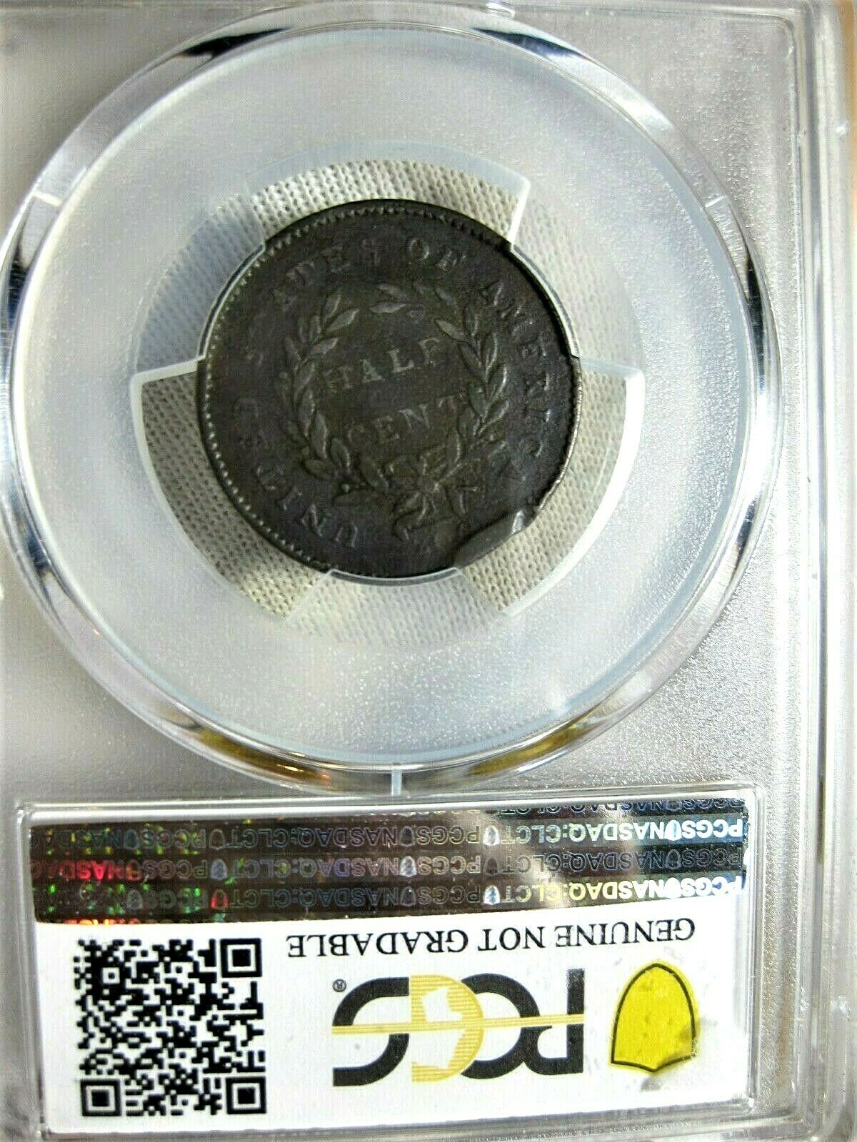 1794 Half Cent PCGS Graded VF Detail Genuine Edge Damage - Fresh Stock Dated December 2025