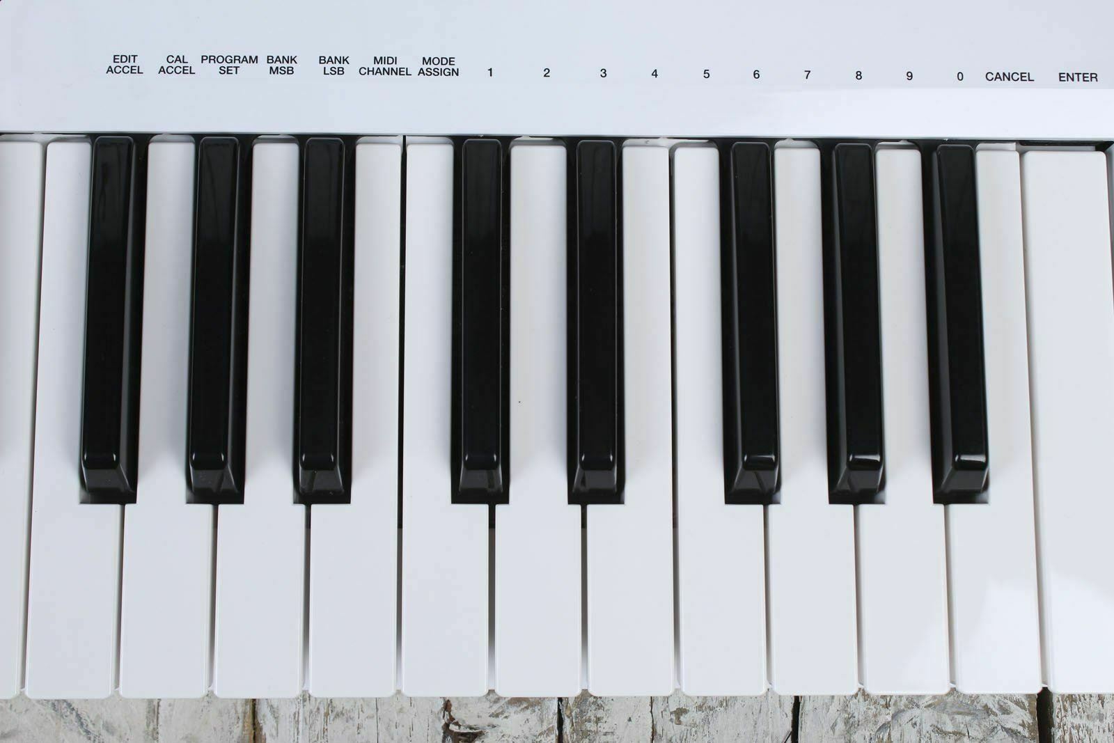 Alesis Vortex 37 Key USB Midi Keytar Controller with Accelerometer White DEMO - Fresh Stock Dated December 2025