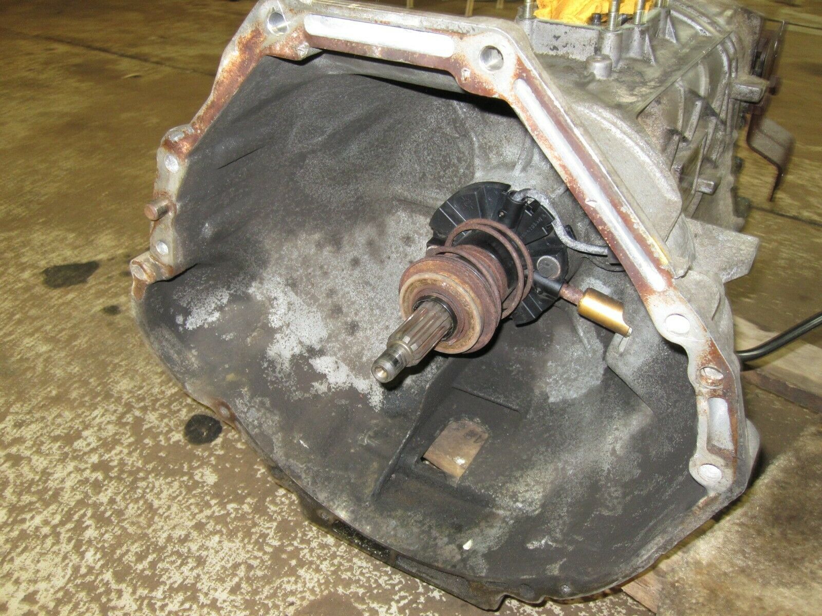 5.8 5.0 4.9  gas 87-97 Ford F250 F350 ZF5 Manual Transmission 5 speed 4x4 s5-42 - Fresh Stock Dated December 2025