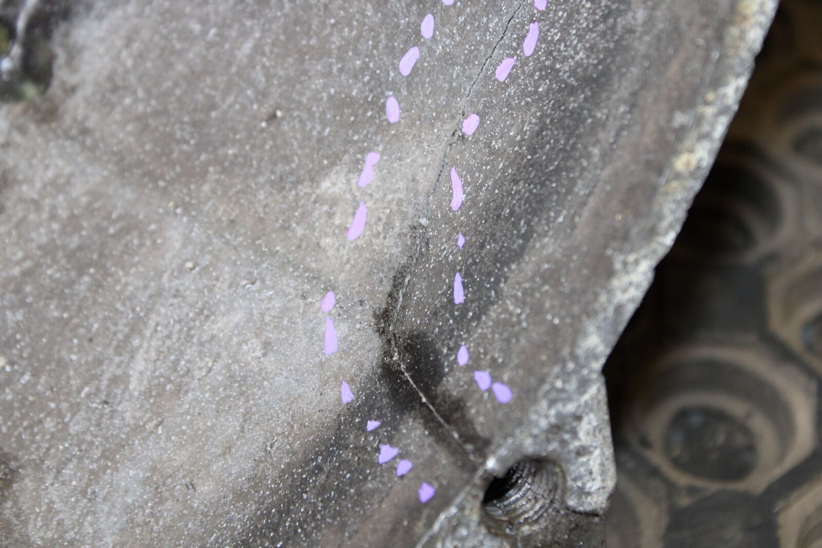 2002 04 ACURA RSX TYPE-S K20A2 2.OL OEM 6 SPEED MANUAL TRANSMISSION K20 DC5 - Fresh Stock Dated December 2025