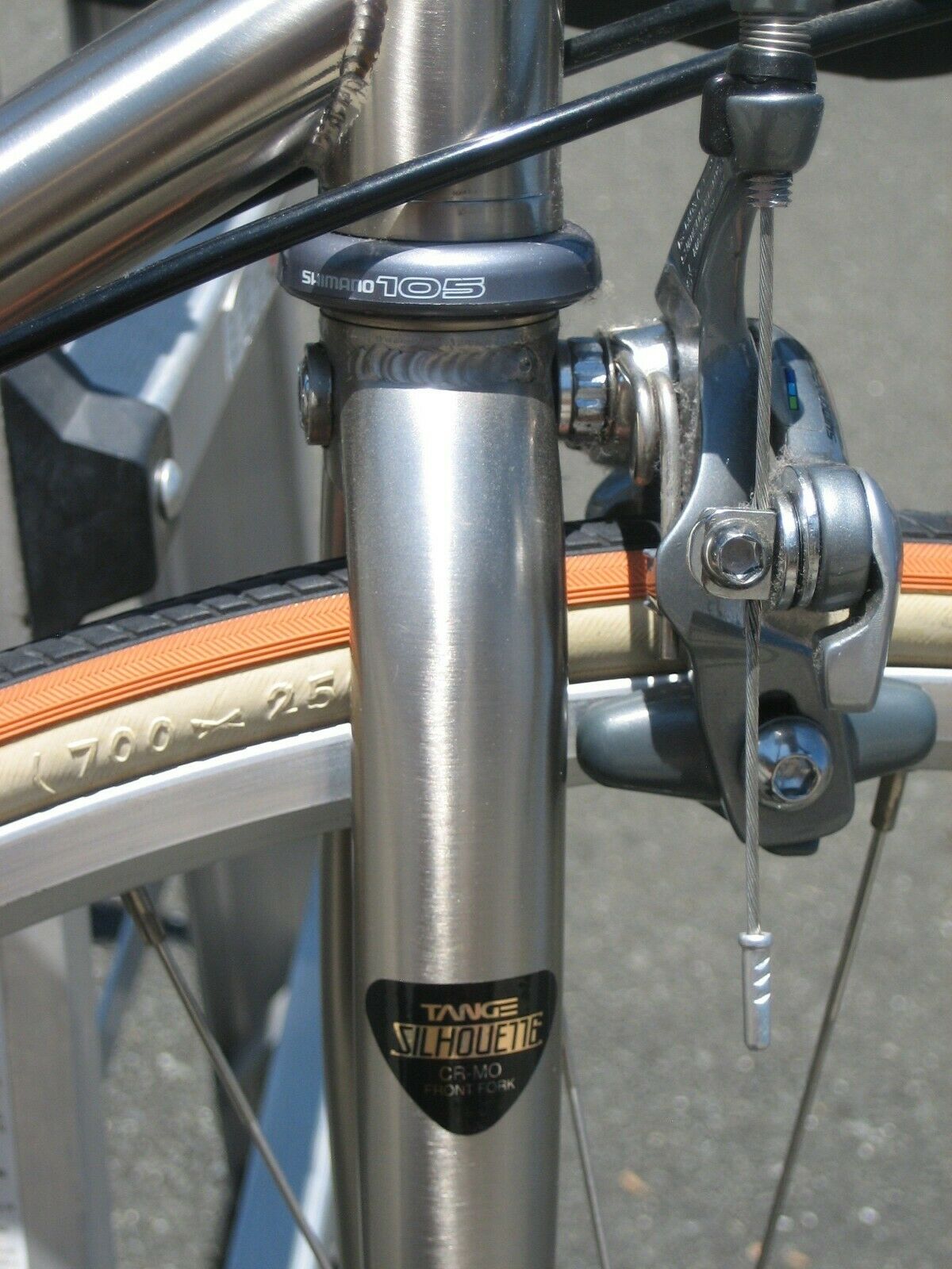 Brand New Top Of  The Line REI Novara Trionfo 16 Speed Road Bike (NOS) - Fresh Stock Dated January 2026