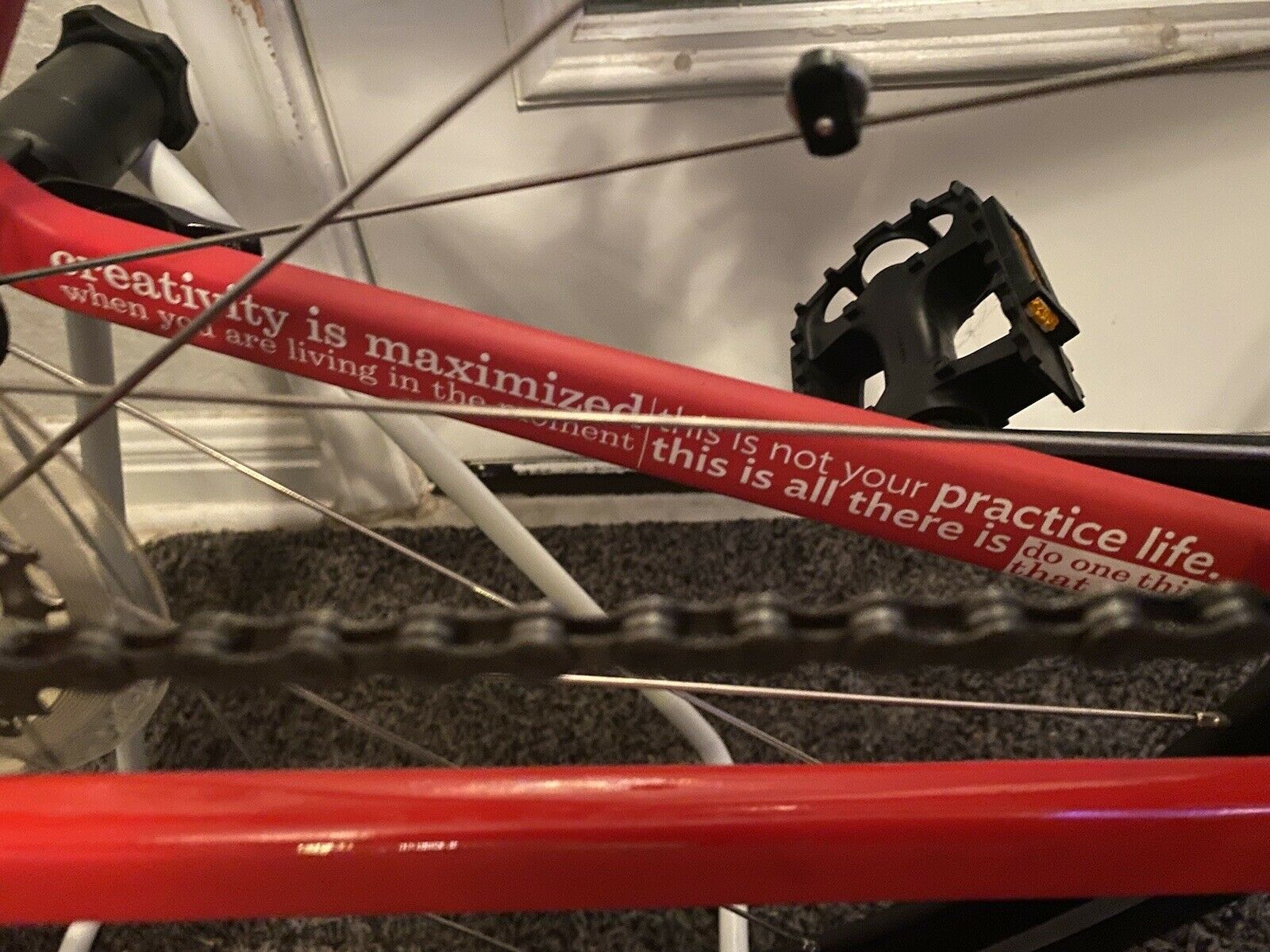 specialized road bike 51cm - Fresh Stock Dated December 2025