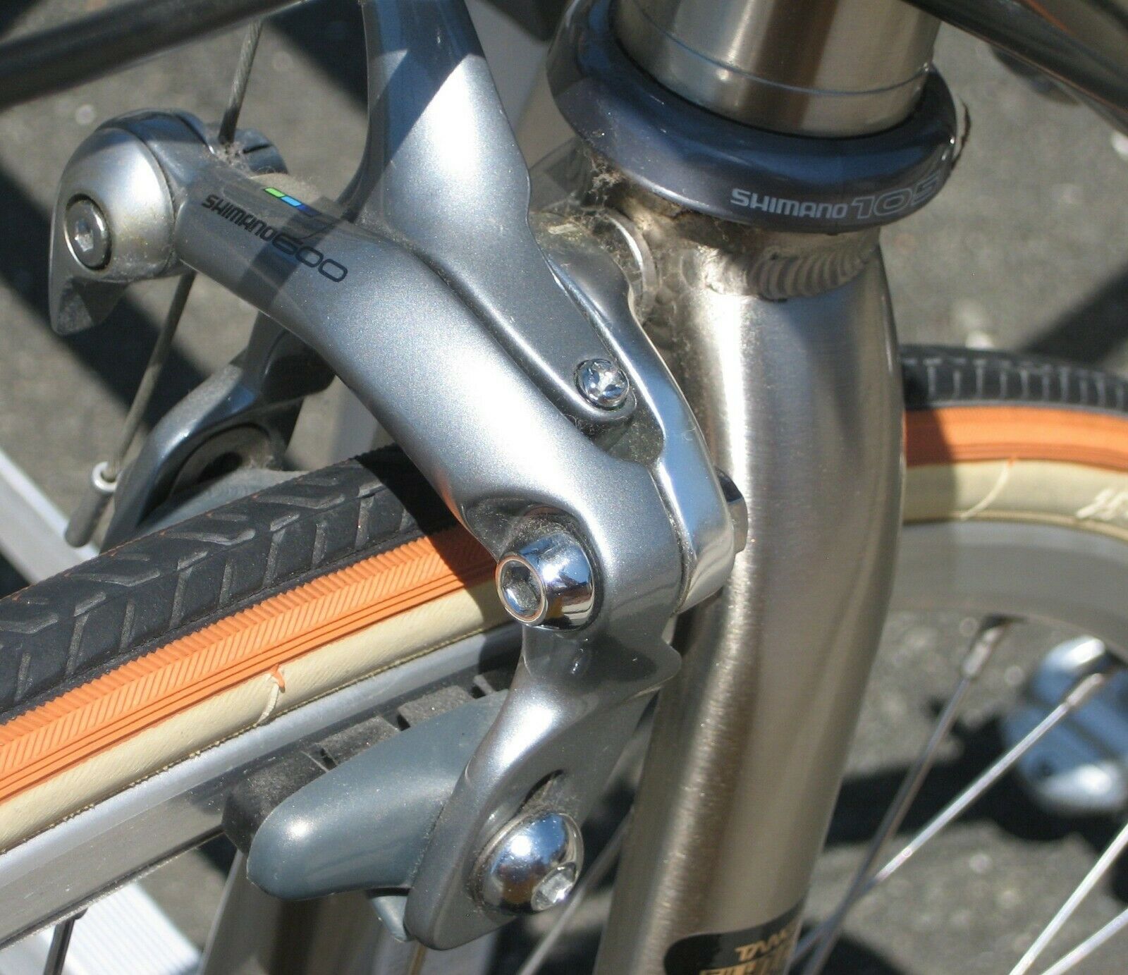 Brand New Top Of  The Line REI Novara Trionfo 16 Speed Road Bike (NOS) - Fresh Stock Dated January 2026