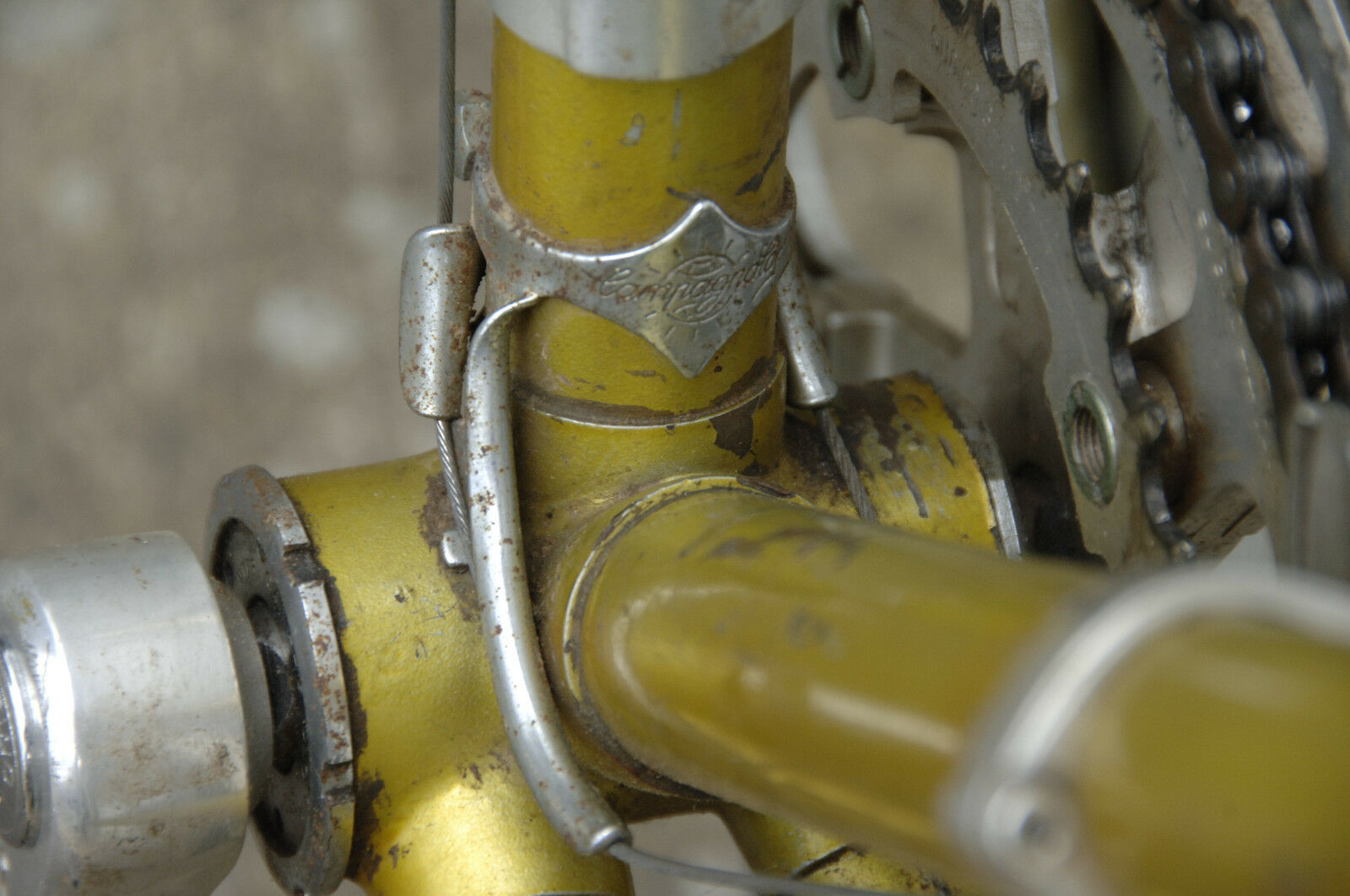 Sears Free Spirit,Reynolds 531 touring frame, Blackburn racks, Campagnolo brakes - Fresh Stock Dated December 2025