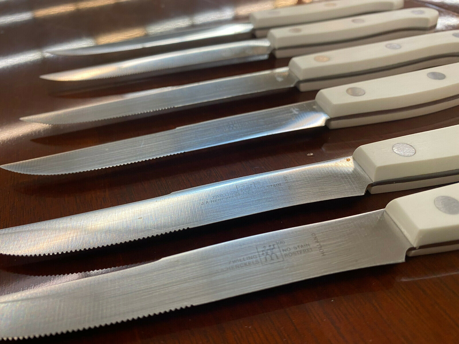6 piece Zwilling J.A. Henckels White Handle Steak Knife Set  rostfrei Holland  A - Fresh Stock Dated January 2026