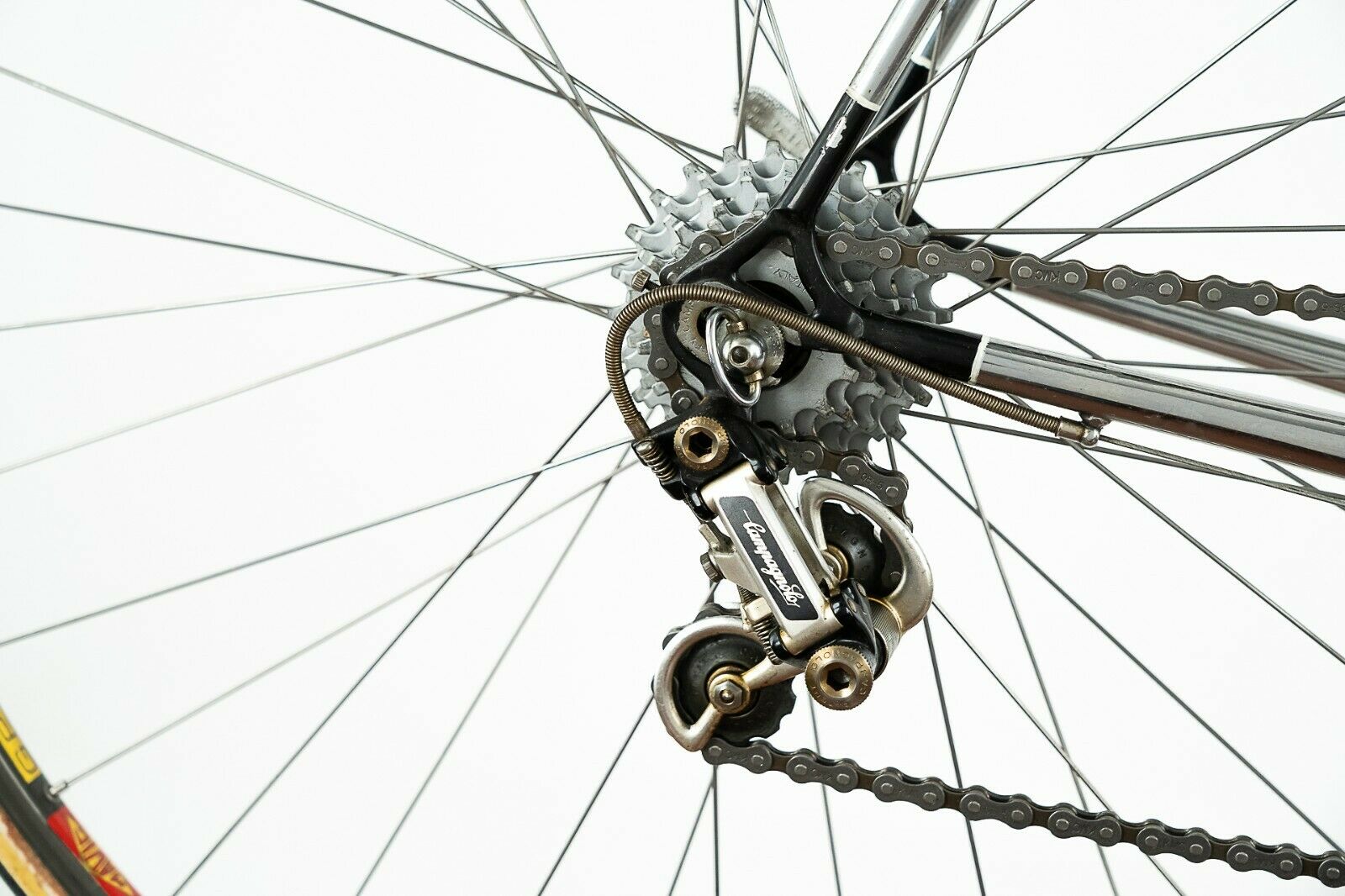 NOS CICLO PIAVE CAMPAGNOLO SUPER RECORD STEEL ROAD BIKE VINTAGE OLD ITALIAN 80s - Fresh Stock Dated January 2026