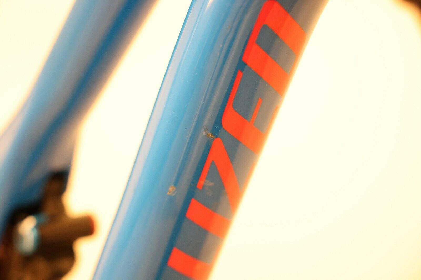 Specialized Stumpjumper Expert Carbon 29 - Pro Blue/Vivid Pink - XL - Fresh Stock Dated December 2025