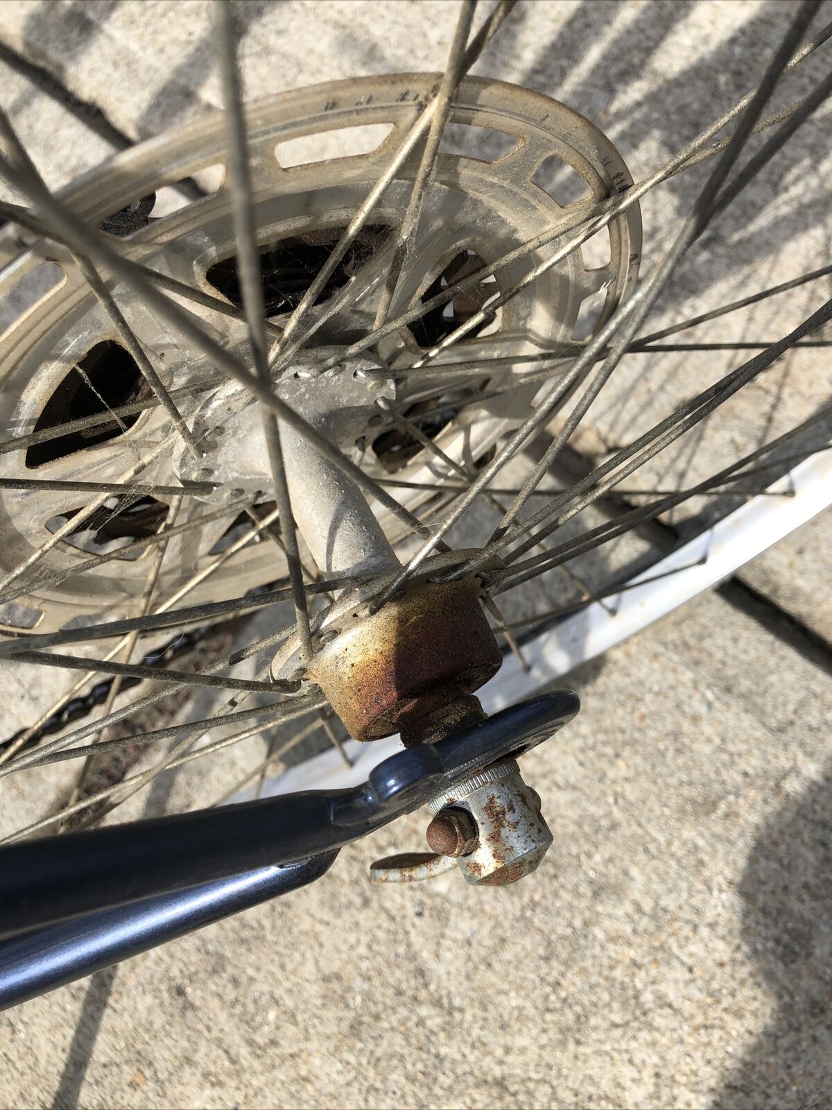 1981 Fuji Royale Road Bike Small 54m 441 Lugged Steel . - Fresh Stock Dated January 2026