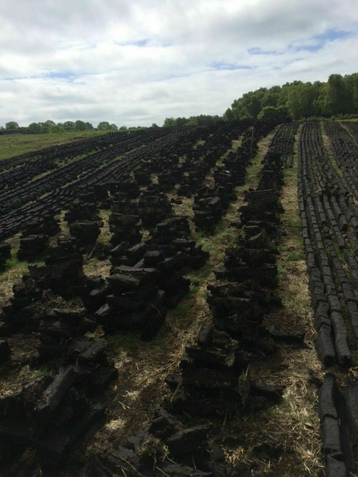 Hadley Irish Fire Peat Burning Natural Hand Cut Turves Log peat Heat - 12KG - Fresh Stock Dated January 2026