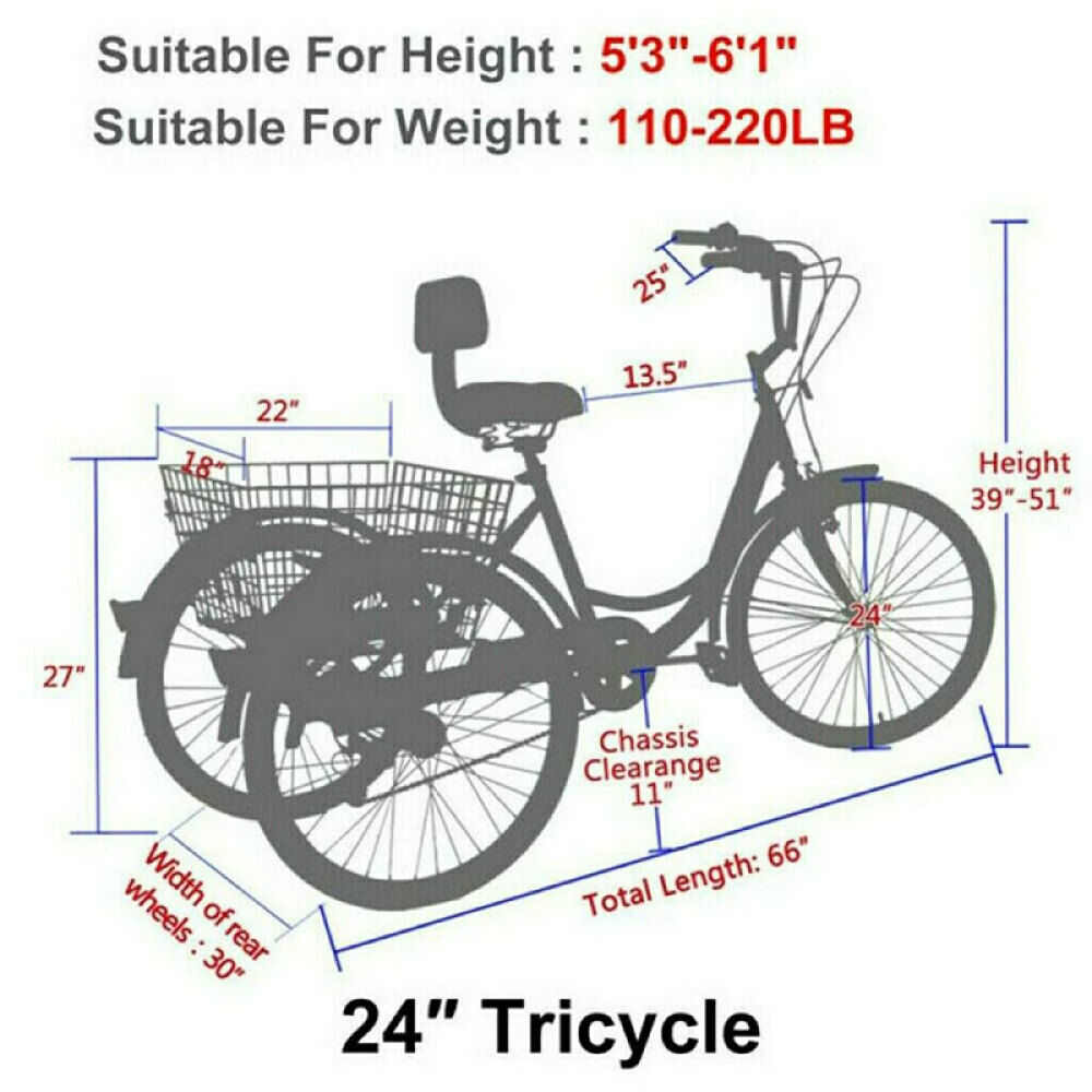 Adults/Seniors Tricycle 7 Speed 24 inch 3 Wheels Bicycle Cruiser Trike w/ Basket - Fresh Stock Dated January 2026