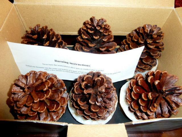 NIB Restoration Hardware Set of 6 Large Wax Pine Cone Fire Starters/Firestarters - Fresh Stock Dated December 2025