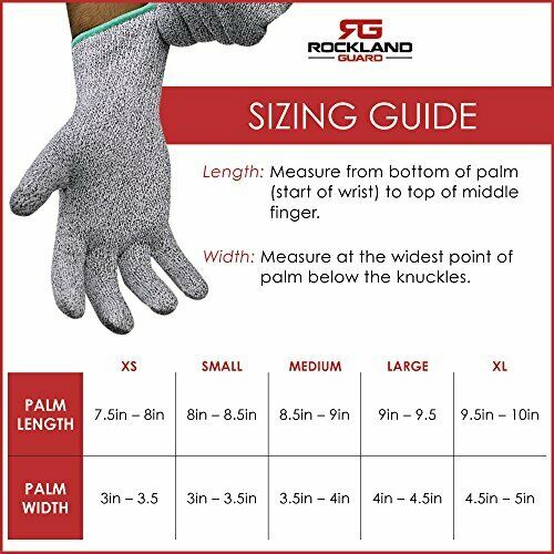 Oyster Shucking Knife & 1 Pair Gloves sizes S to XL, for Clam Shellfish, Superb - Fresh Stock Dated January 2026