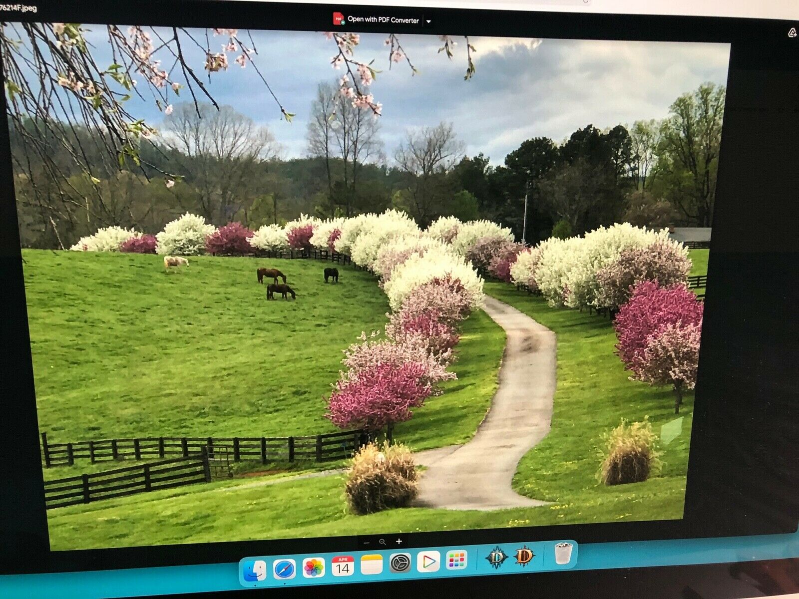 Watchmakers tools... watch case openers - Fresh Stock Dated December 2025