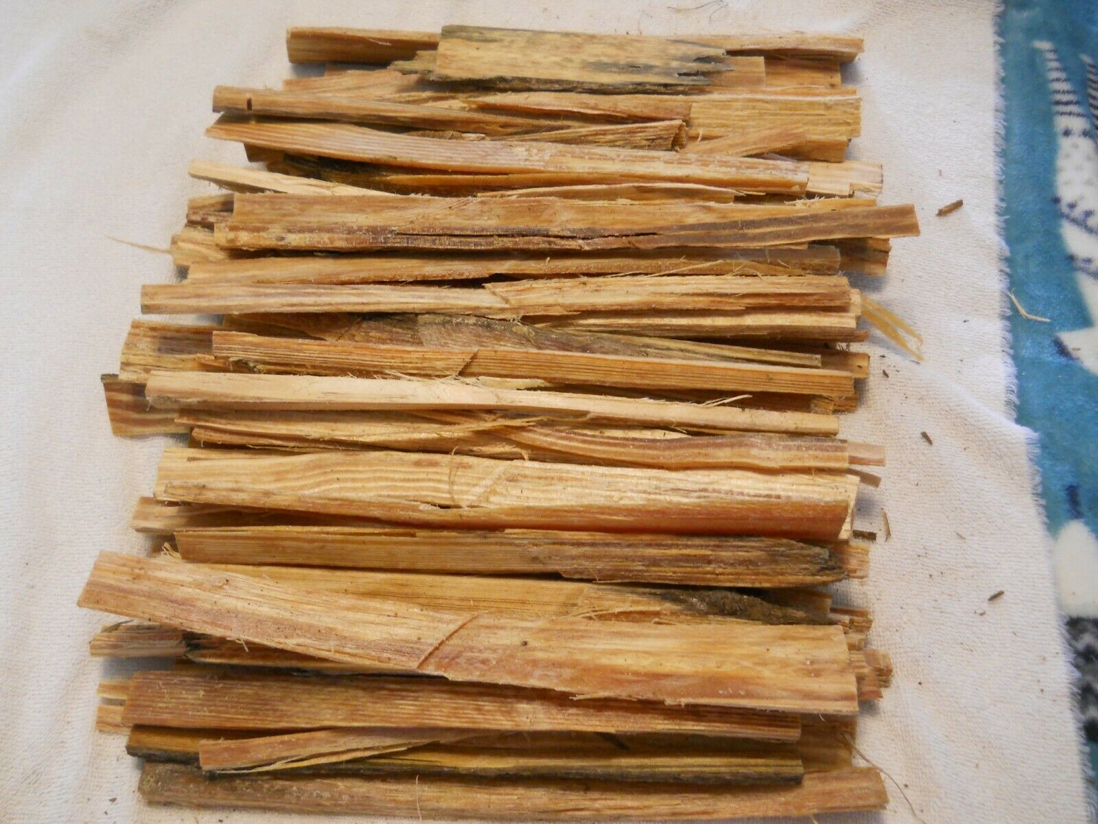 5 pounds of Deep Swamp Fat Lighter Wood, unlimited quantity - Fresh Stock Dated January 2026