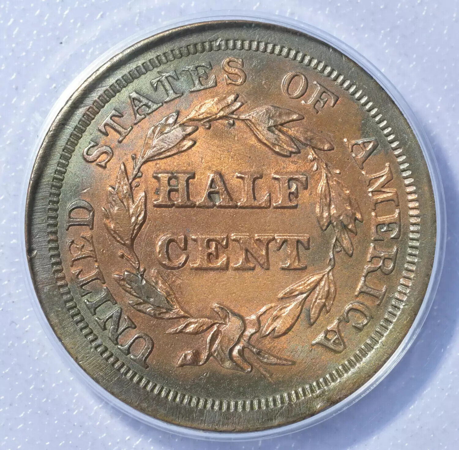 1856 Half Cent ANACS AU-50 Whizzed - Fresh Stock Dated December 2025