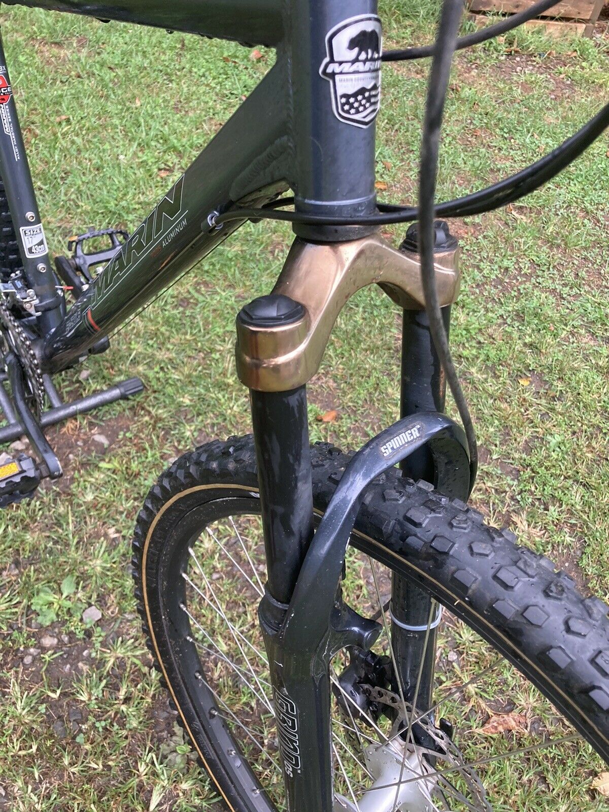 Marin Bobcat Trail 17