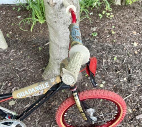 1982 SE Racing Quadangle Old School BMX Bike Original Parts/Finish SUPER RARE!!! - Fresh Stock Dated December 2025