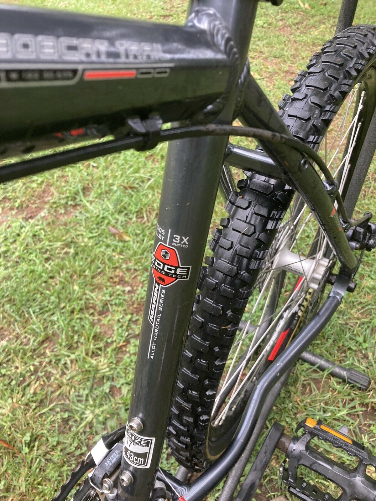 Marin Bobcat Trail 17