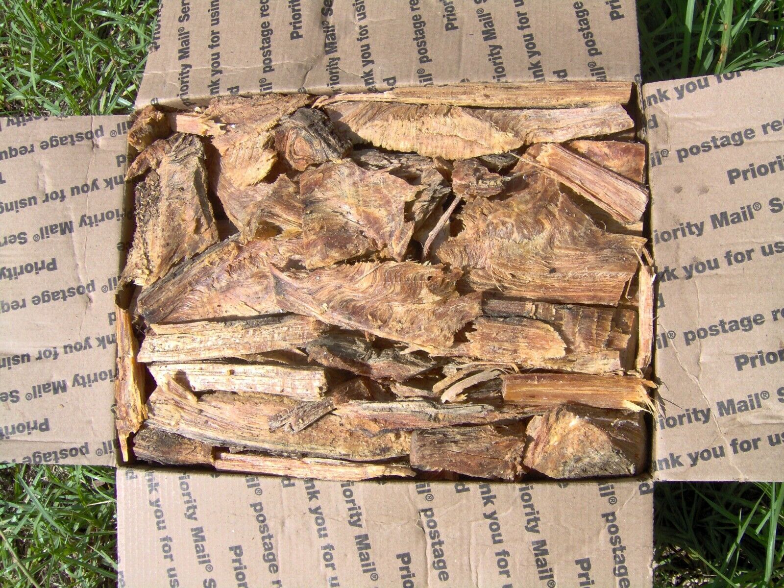 FAT LIGHTER KINDLING FIRE STARTERS FATWOOD RICH FIRE TINDER WOOD 7 lb.+ Mail Wt. - Fresh Stock Dated December 2025