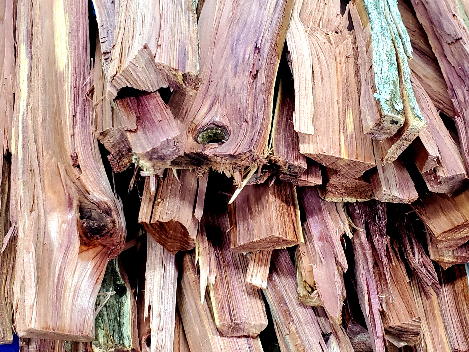 5lbs ' Minimum ' North Carolina Red Cedar Kindling Fire Starter Fireplace Wood - Fresh Stock Dated January 2026