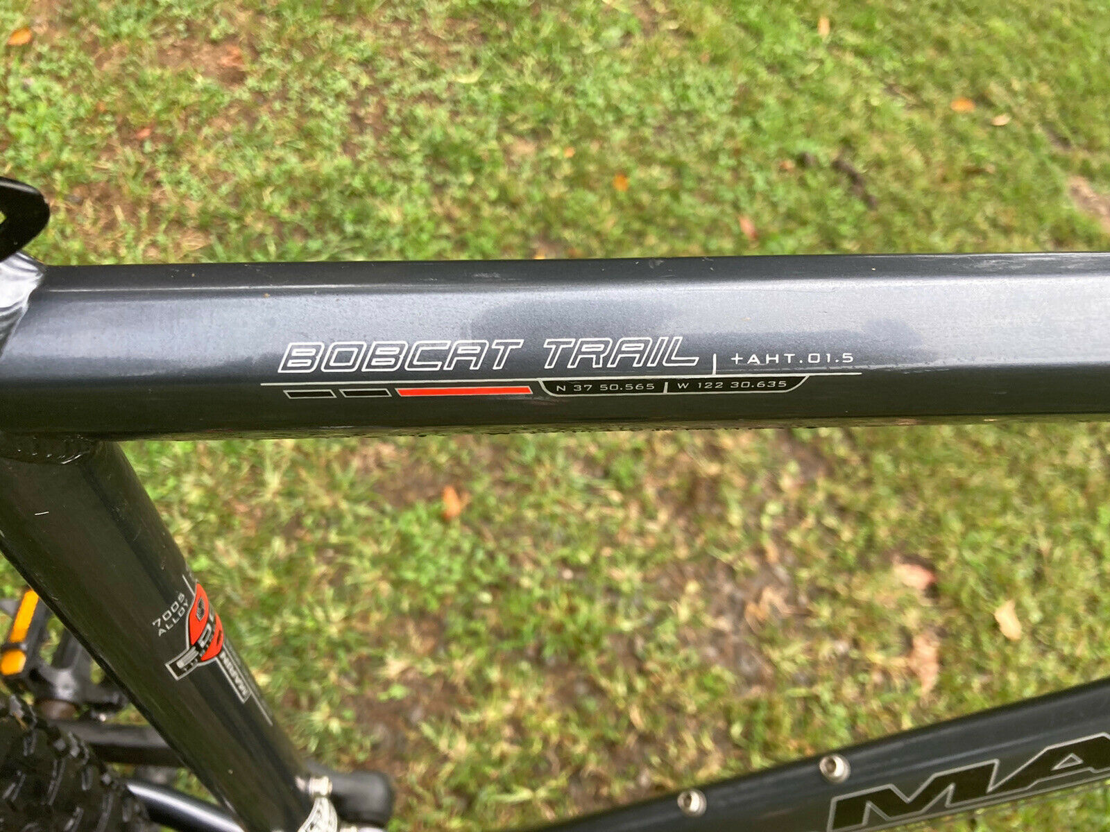 Marin Bobcat Trail 17