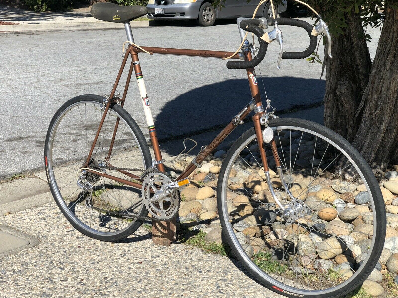 Cóndor Professional Vintage Bike By Benotto Giancinto 25” Frame  Made In Mexico - Fresh Stock Dated January 2026