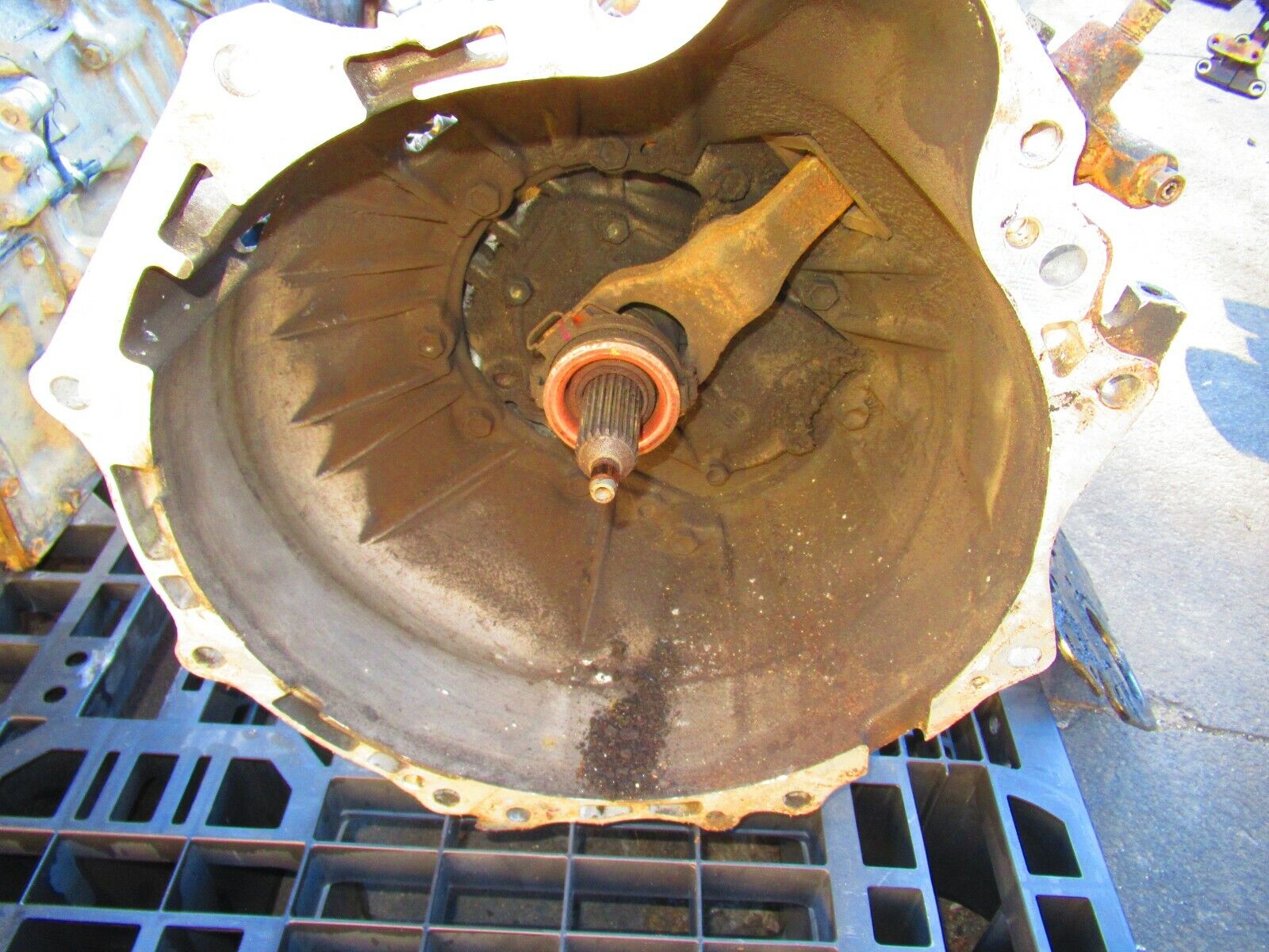 JDM Toyota 4Runner Highlux Surf 1KZTE Turbo Diesel 4X4 MT Transmission - Fresh Stock Dated January 2026