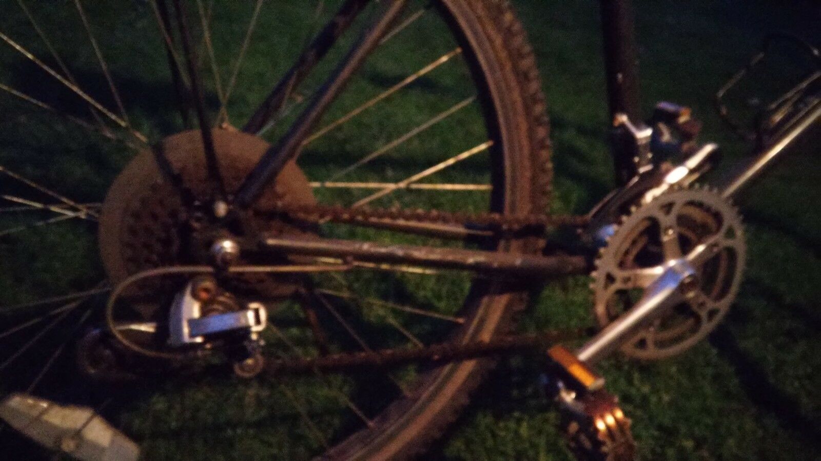 Alpina Uno UNIVEGA - Fresh Stock Dated December 2025