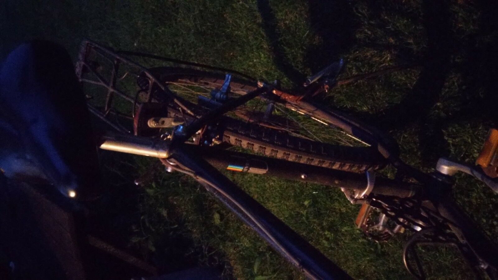 Alpina Uno UNIVEGA - Fresh Stock Dated December 2025