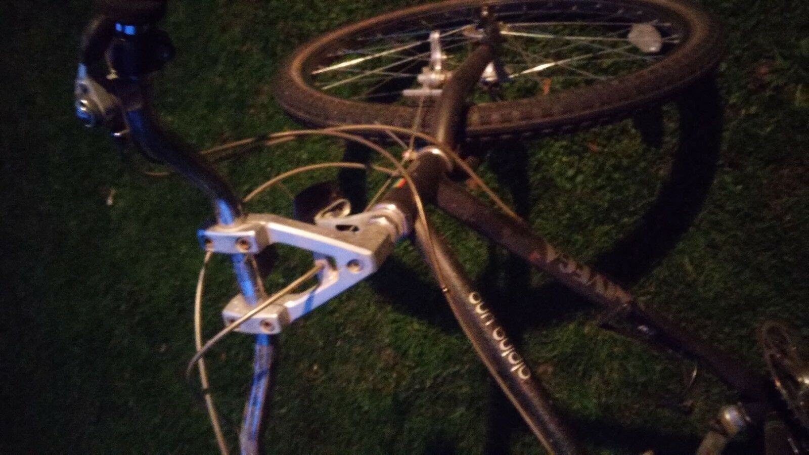 Alpina Uno UNIVEGA - Fresh Stock Dated December 2025