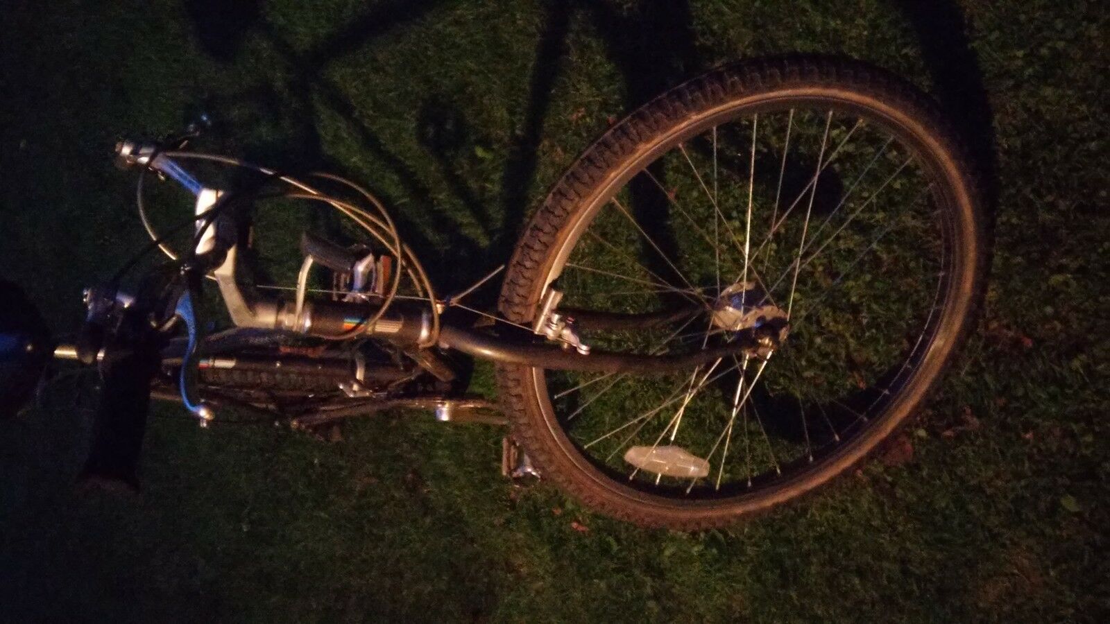 Alpina Uno UNIVEGA - Fresh Stock Dated December 2025