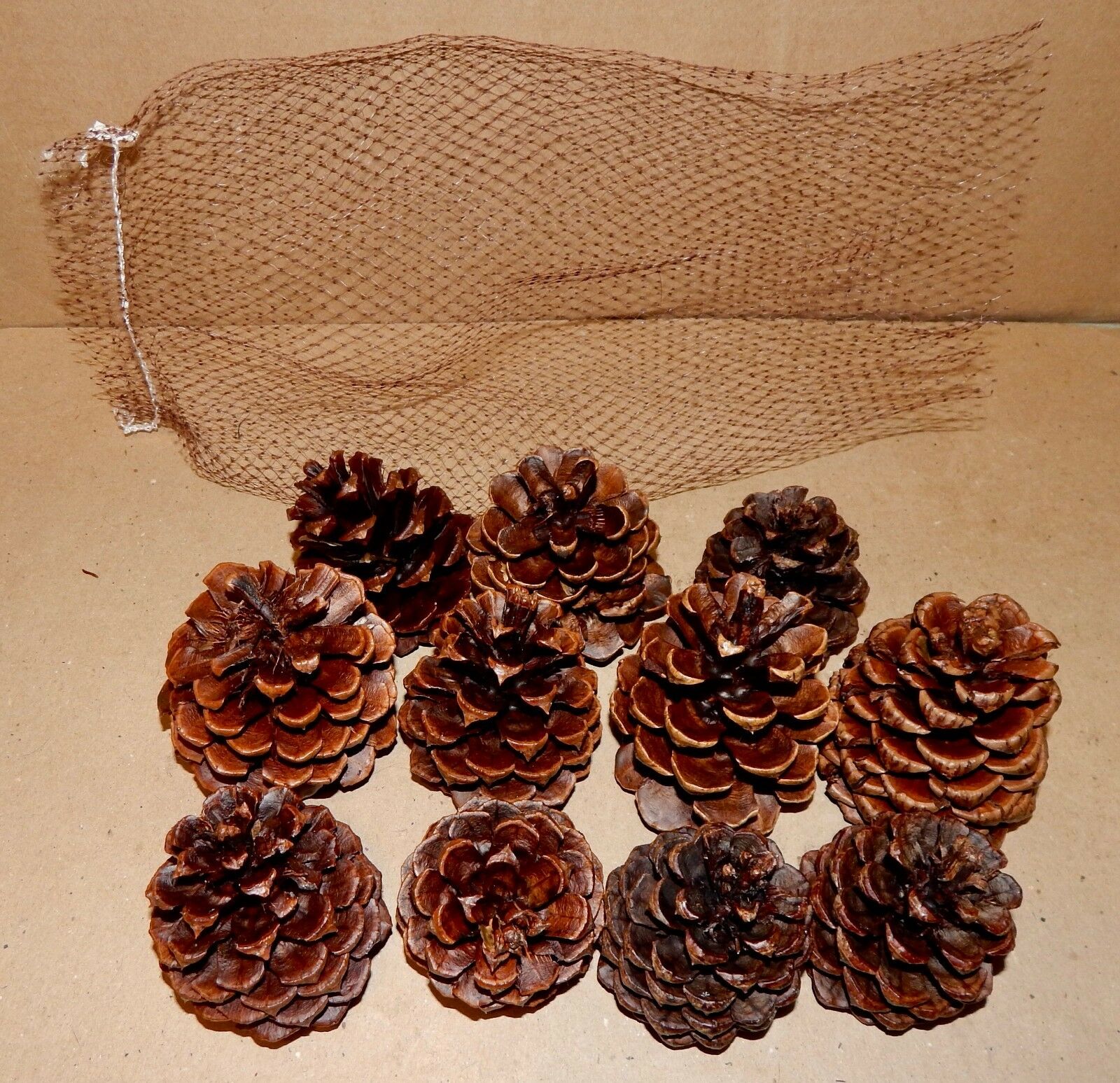 Firestarter Pinecones Wax Coated Fragrant Long leaf Burn Hot Easy Start USA 178M - Fresh Stock Dated January 2026