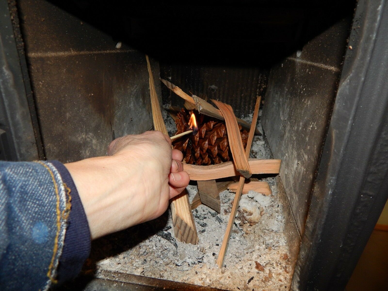 Firestarter Pinecones Wax Coated Fragrant Long leaf Burn Hot Easy Start USA 178M - Fresh Stock Dated January 2026