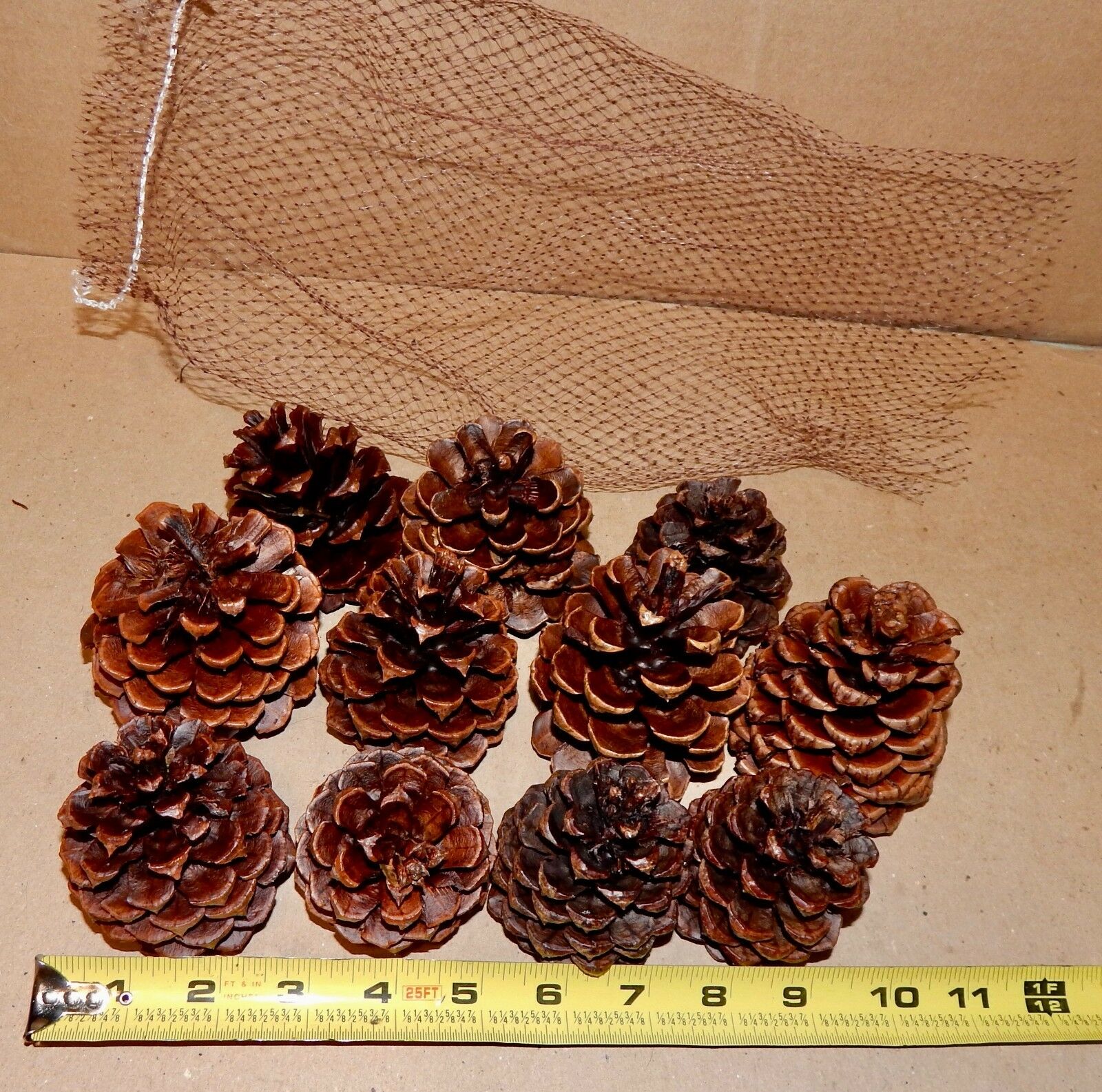 Firestarter Pinecones Wax Coated Fragrant Long leaf Burn Hot Easy Start USA 178M - Fresh Stock Dated January 2026