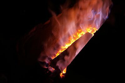 Japanese Kato AOGAMI Blue Super Clad St NASHIJI Gyuto Chef Knife 210mm Japan - Fresh Stock Dated January 2026