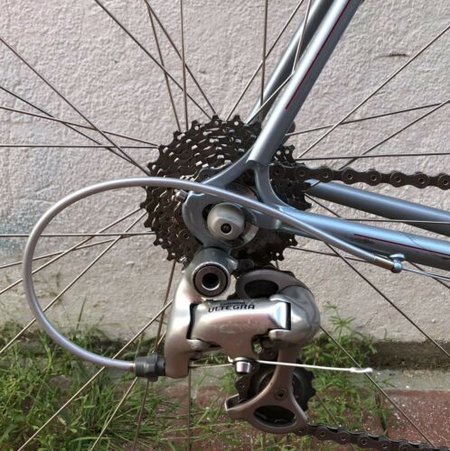 Richard Sachs Road Bike 🇺🇸 - Fresh Stock Dated December 2025