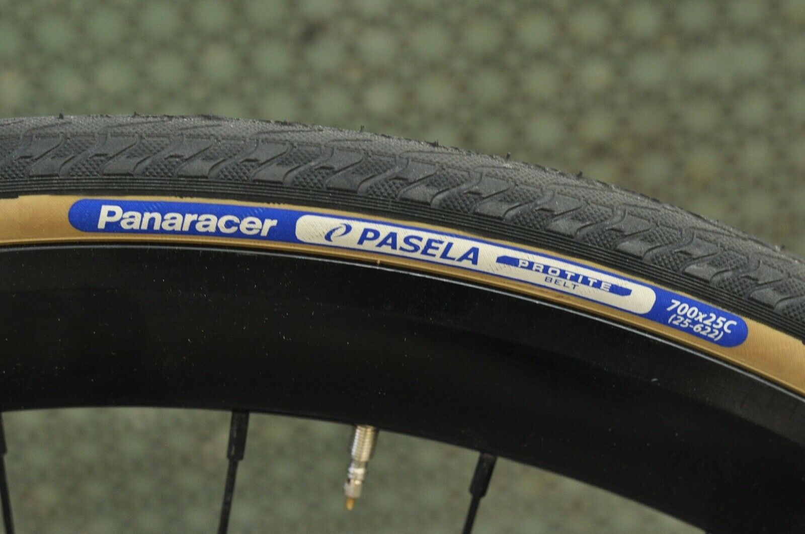 Brand New Tribe Ozark 61 cm Single Speed Bicycle - Fresh Stock Dated January 2026