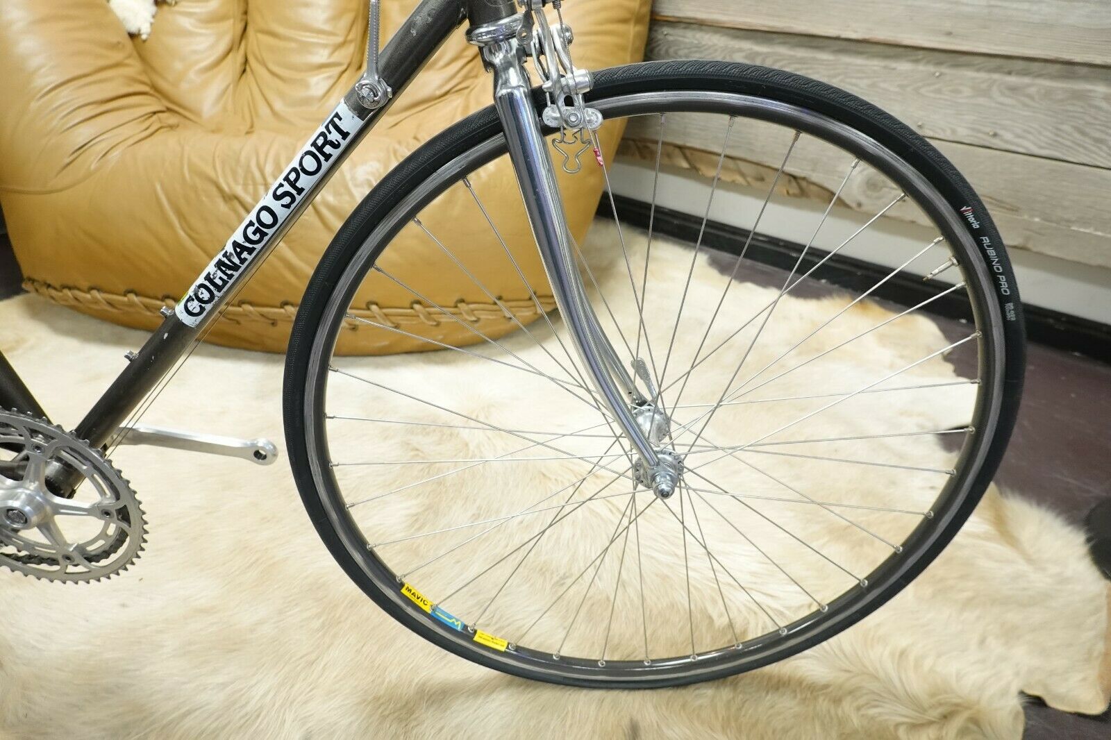 Vintage Colnago Sport Bike 59cm 700C Campagnolo Gipiemme Mavic Campagnolo RARE - Fresh Stock Dated December 2025