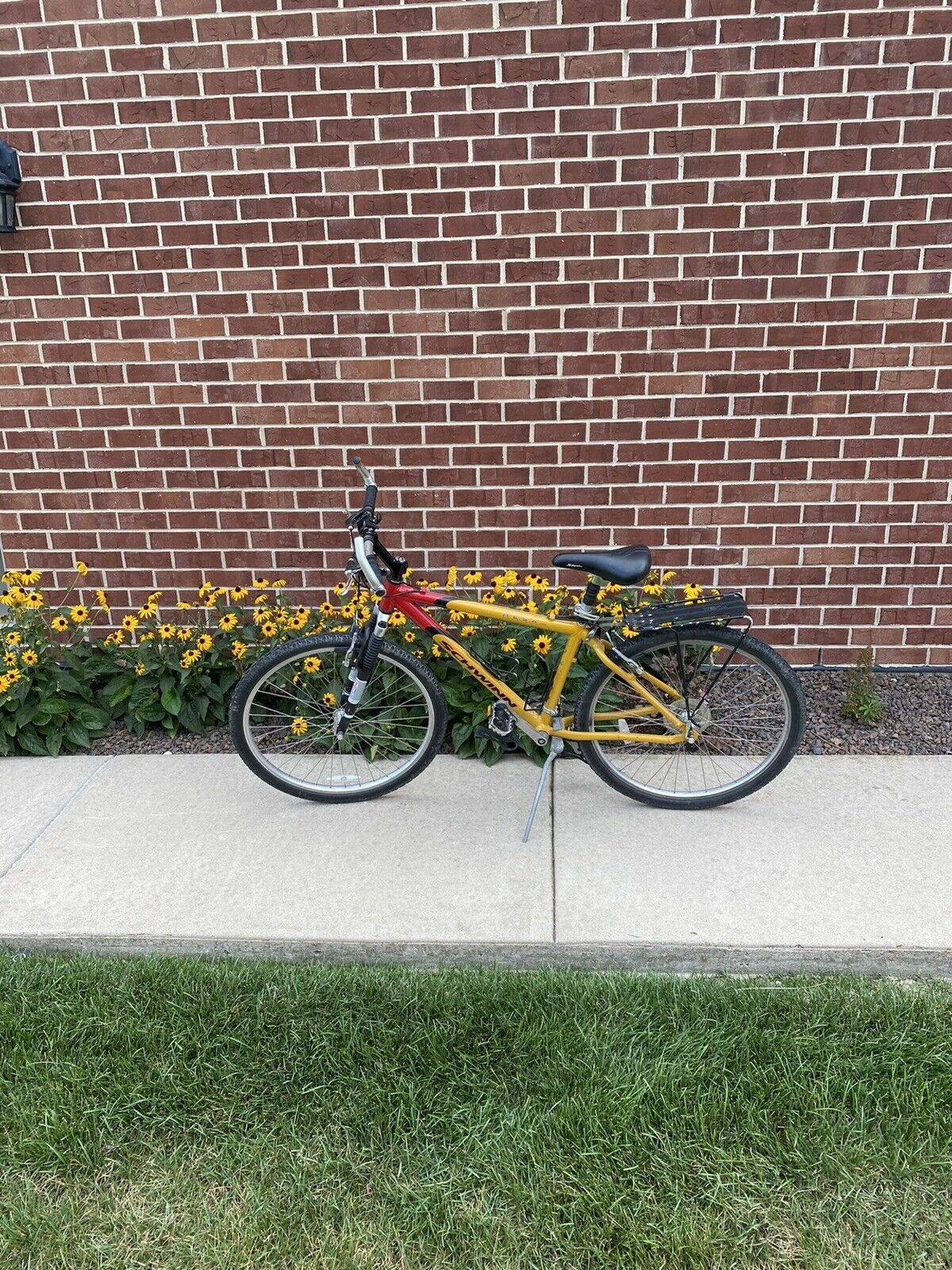 schwinn mesa - Fresh Stock Dated December 2025