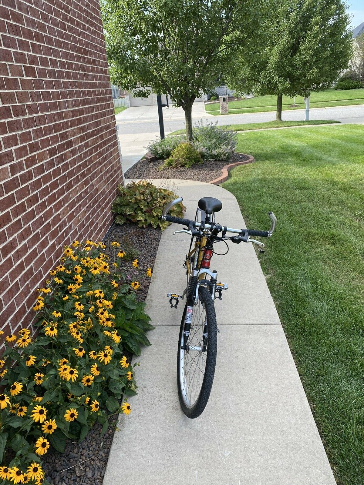 schwinn mesa - Fresh Stock Dated December 2025