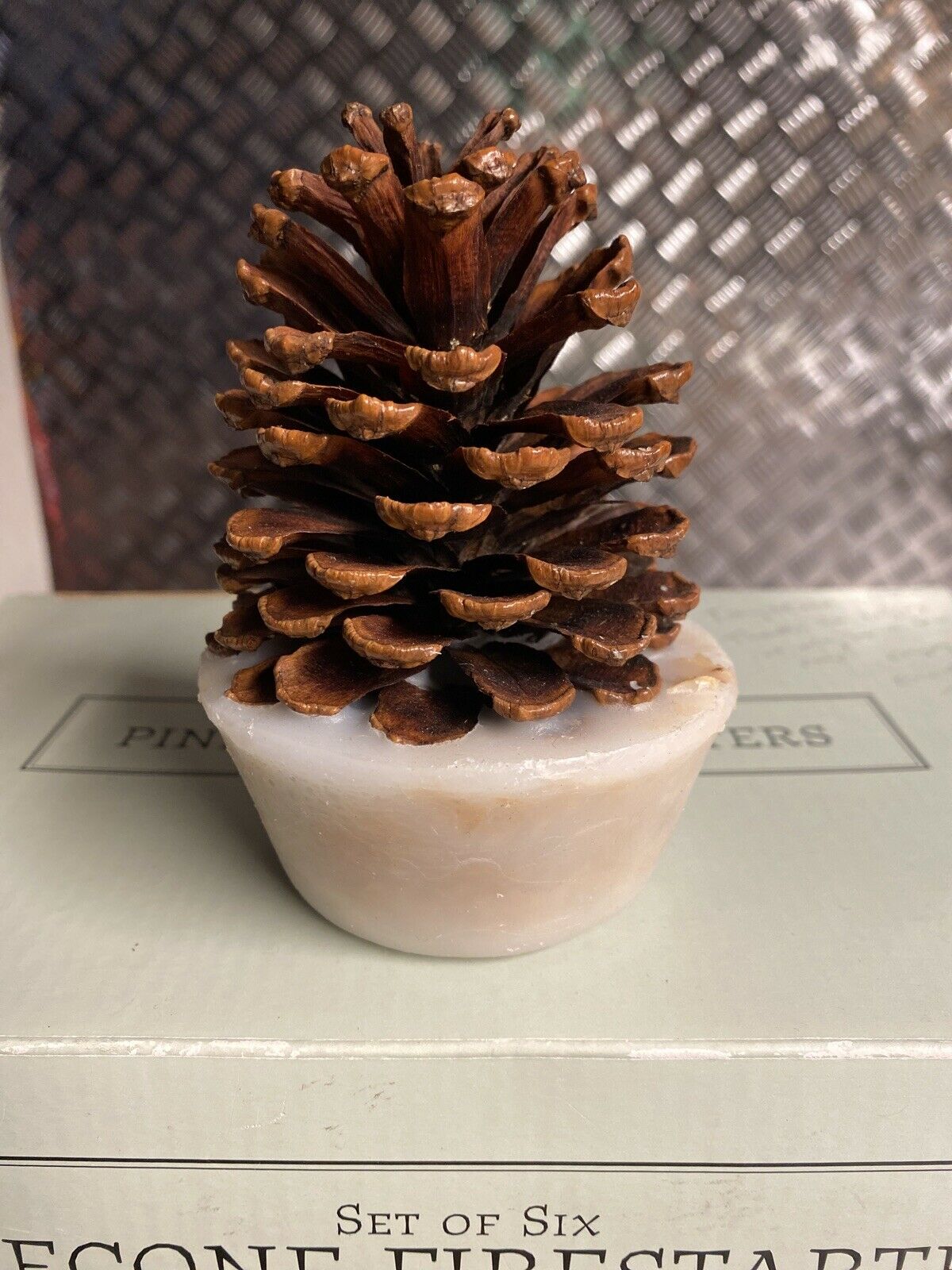 Restoration Hardware Set of 4 Large Wax Pine Cone Fire Starters Firestarters - Fresh Stock Dated December 2025
