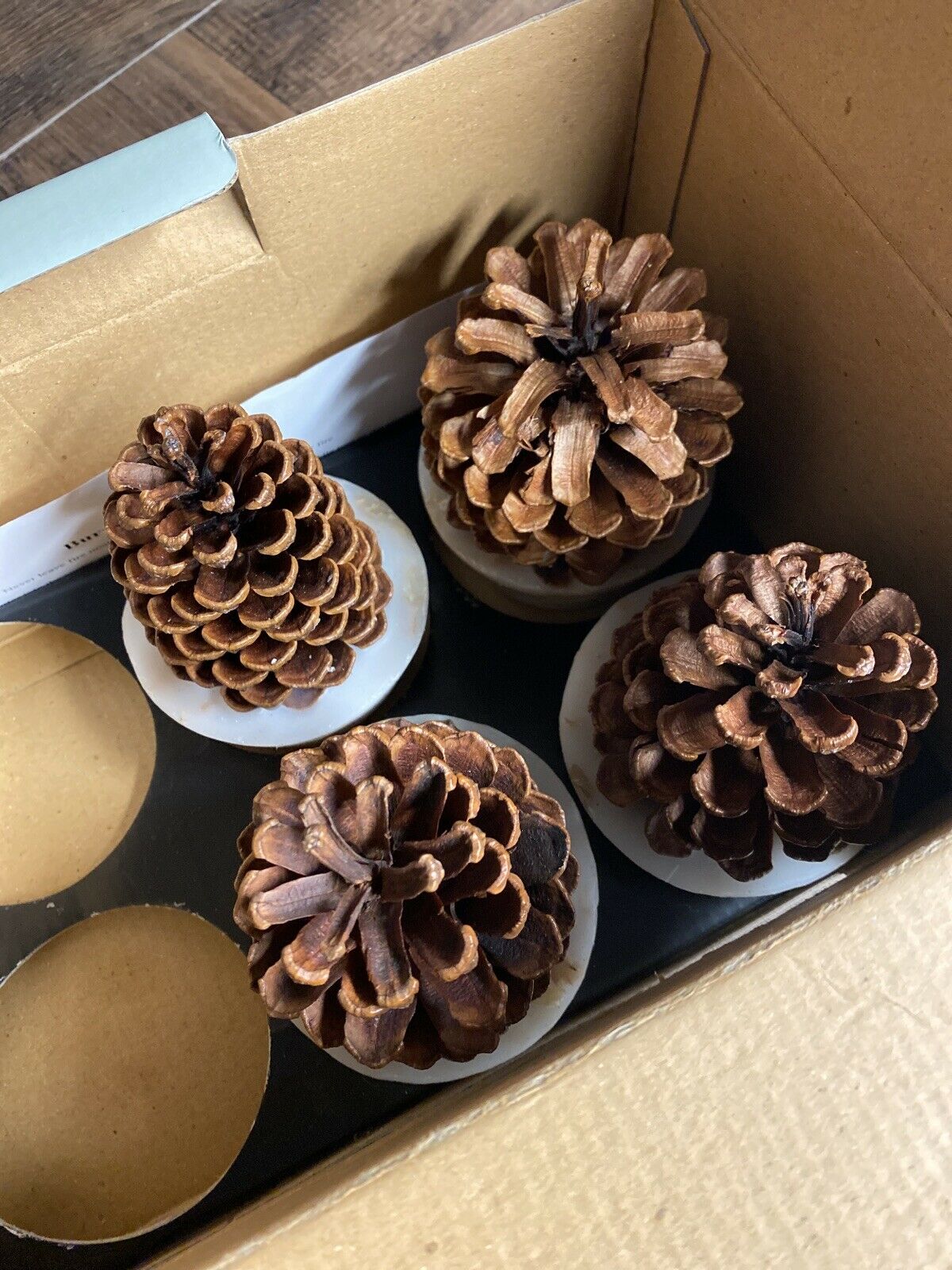 Restoration Hardware Set of 4 Large Wax Pine Cone Fire Starters Firestarters - Fresh Stock Dated December 2025