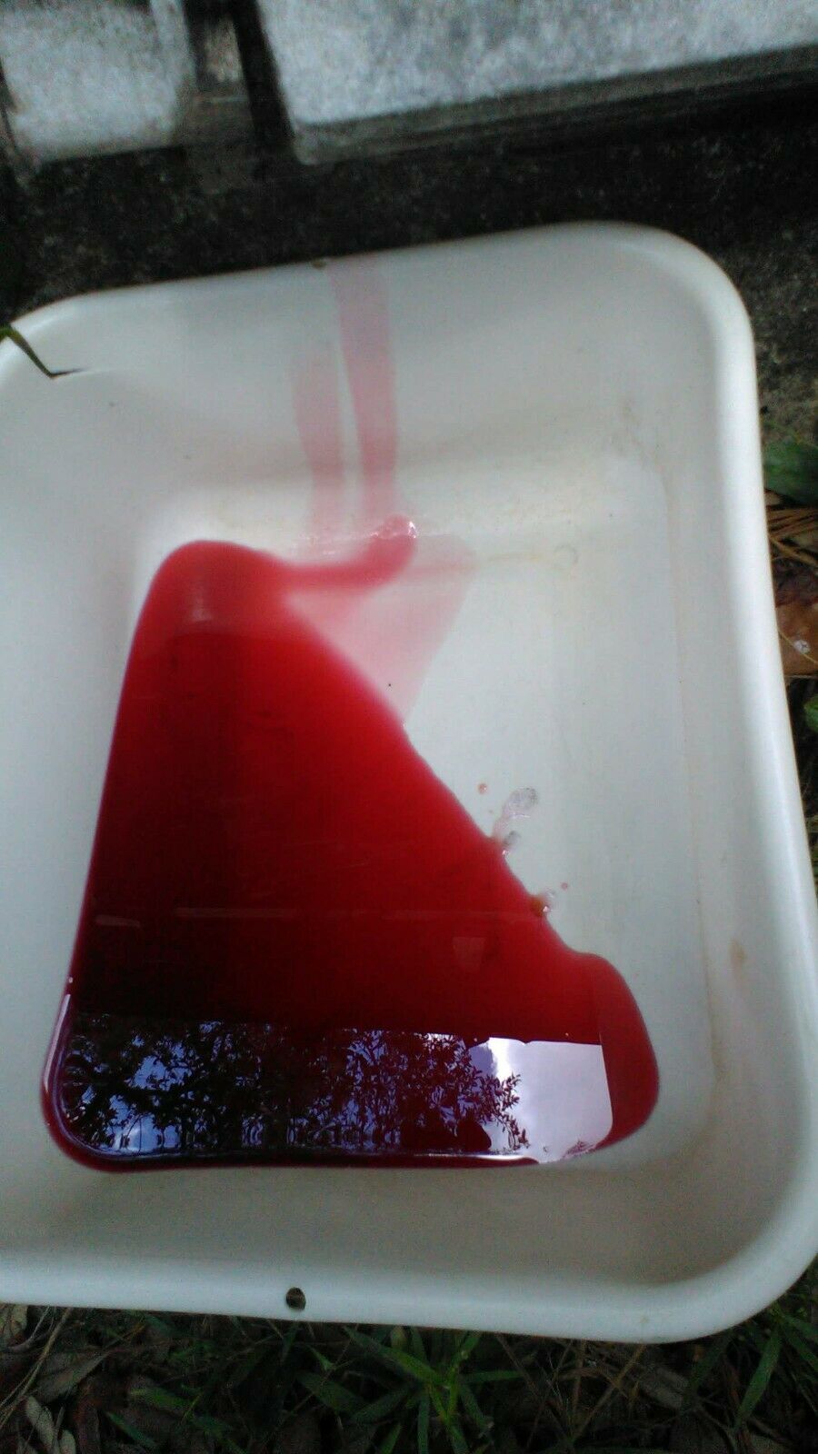 BMW gearbox E34 530i/535i M30/M10 Getrag 260 - Fresh Stock Dated December 2025