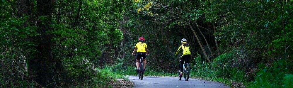 Cruiser Bike 22 Inch Youth Foot Cycle City Travel Transport Commuter Bike Unisex - Fresh Stock Dated January 2026