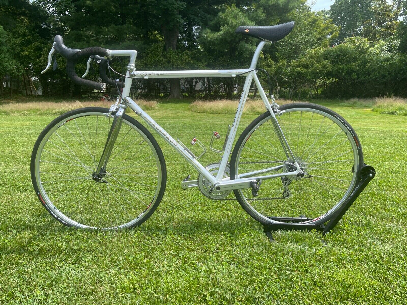 Colnago Arabesque - Fresh Stock Dated December 2025