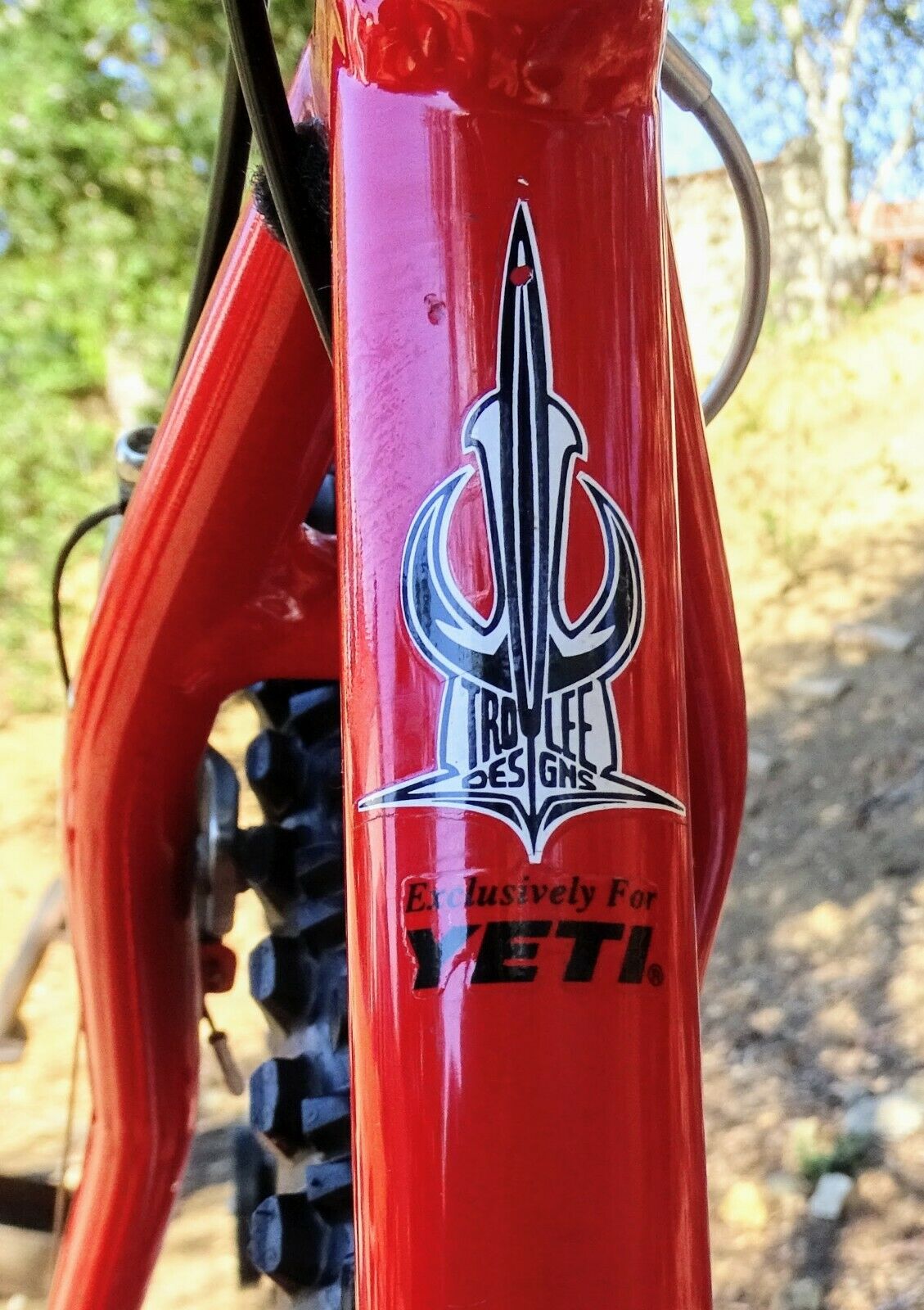 1997 Yeti Fro  F.R.O.For 